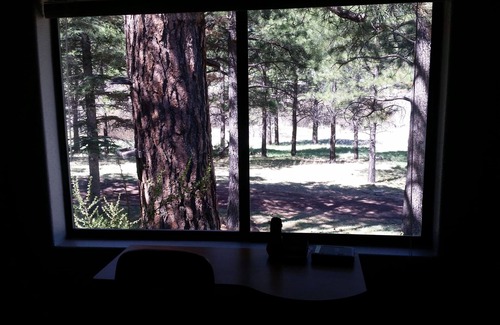 Greer Cabin | Windes' East Fork Retreat: Private, By the river, Bird Watching, Weekly Rate