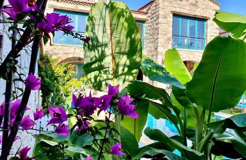Hacımemis Bed & Breakfast | Windmill Alaçatı