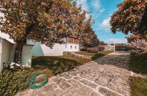 Santa Maria da Feira House | Windmill House