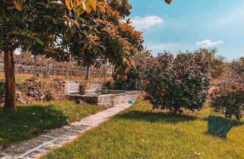 Santa Maria da Feira House | Windmill House