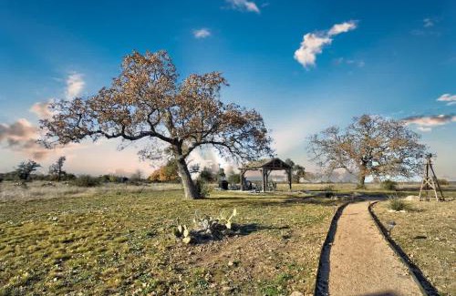 Fredericksburg House | Wine Country Cottage with Scenic Hill Country Views