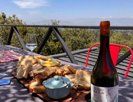 Donihue Bed & Breakfast | Wine Lodge de Viña Vultur en bosque nativo con piscina