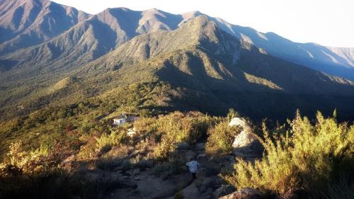 Donihue Bed & Breakfast | Wine Lodge de Viña Vultur en bosque nativo con piscina