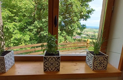 Arconcey Cabin | Winegrower's hut