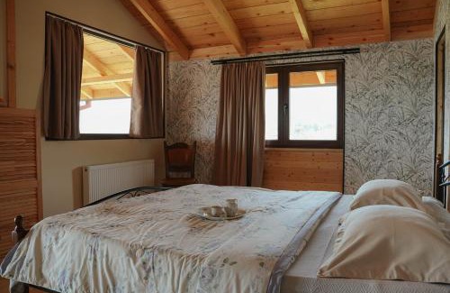 Akhmeta Ski Chalet | Winery Matisi