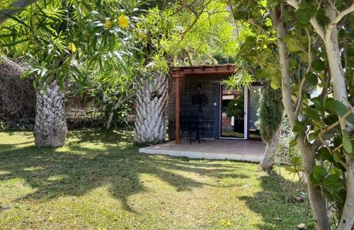 Los Gigantes Cabin | Winter Wonderland
