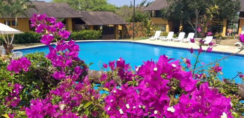 Novo Gravata Apartment | Winterville Flat 213
