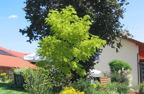 Haigerloh Hotel | Wirth z Moosham