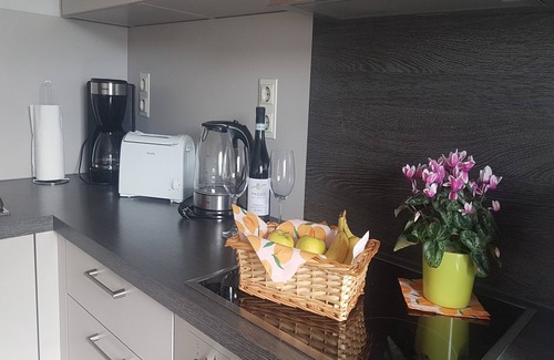 Medebach Apartment | Wissinghausen Cozy Apartment