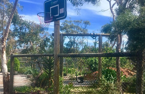 Bayonet Head Cottage | Wisteria Cottage Albany