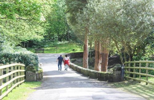 Witton-le-Wear Resort | Witton Castle Country Park