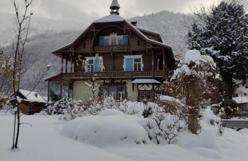 Ebensee Apartment | Wohnen am See Villa Schrötter direkt am Traunsee