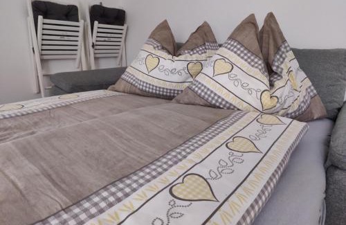 Ebensee Apartment | Wohnen am See Villa Schrötter direkt am Traunsee