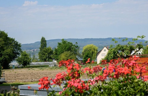 Reichenau Apartment | Wohnung 2, 66qm, Balkon, 1 Schlafzimmer, max. 4 Personen