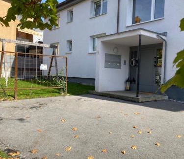 Goetzis Apartment | Wohnung 2 in zentraler Lage im Rheintal