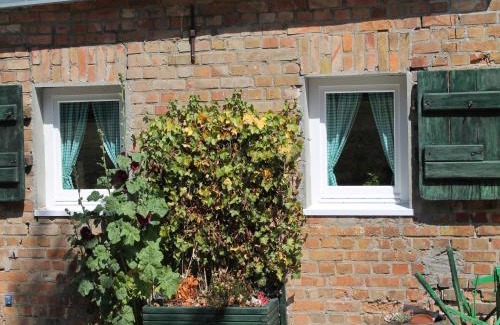 Damgarten Apartment | Wohnung in Ribnitz Damgarten, cleaning included