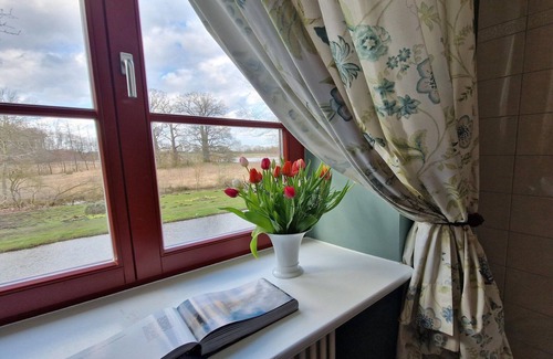 Satow Apartment | Wohnung in Satow mit Garten