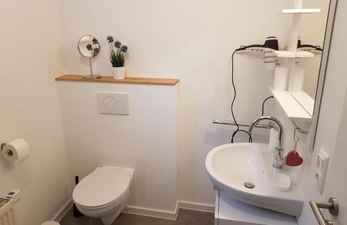 Buchet Apartment | Wohnung Wiesengrün - Osserblick