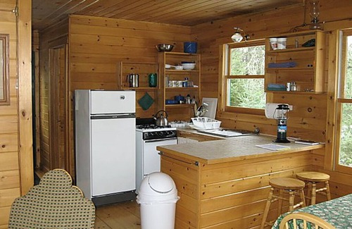 Ely Cabin | Wolf Point Cabin - Remote Access Retreat