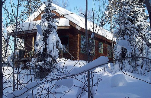 Ely Cabin | Wolf Point Cabin - Remote Access Retreat