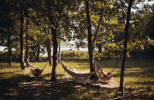 Ryn Villa | Wolny Las