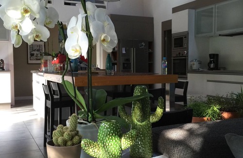 Guethary House | Wood Architect house, greenery, beaches on foot