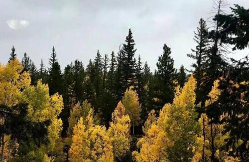Duck Creek Village House | Woodchuck Cabin