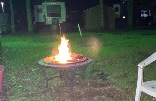 Blossvale Cabin | Woodland Cottage Sylvan Beachnnnn
