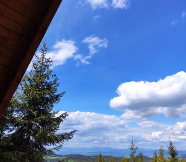 Sincraieni House | Woodland house *