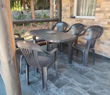 Sincraieni House | Woodland house