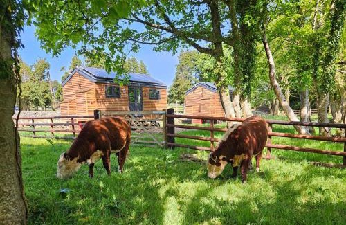 Brynrefail Cabin | Woodland Shephards Hut - 'Aristocrat'