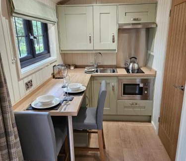 Brynrefail Cabin | Woodland Shepherds Hut - 'Saga'