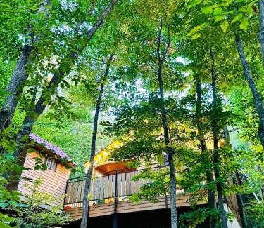 Mtskheta House | WoodLand Tskhvarichamia