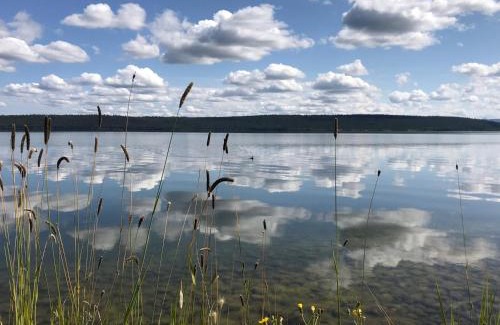 Chilanko Forks Resort | Woodlands fishin resort