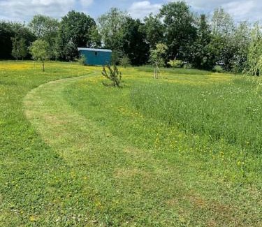 Newmarket Apartment | Woodpecker Shepherd Hut with private facilities Newmarket CB8