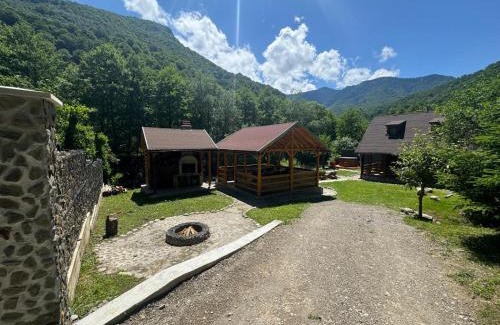 Riu de Mori House | Woods Retreat