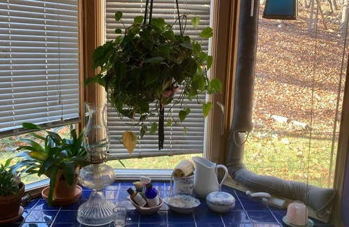 Woodstock House | Woodstock Paradise with Gardens & Private Heated Pool-Gardener's Special!