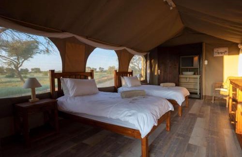 Kagisano-Molopo Cabin | Working with Wildlife Conservation Safari on Khamab Kalahari Reserve