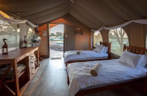 Kagisano-Molopo Cabin | Working with Wildlife Conservation Safari on Khamab Kalahari Reserve