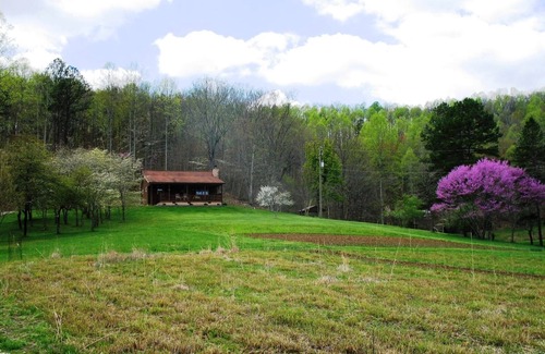 Glenhayes Cabin | Workman's Wildlife Haven, Secluded country setting vacation cabin