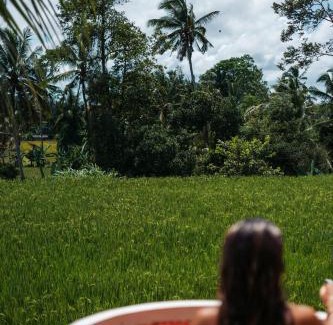Mambal Cabin | Woywoy Escape Samu (Adults Only)