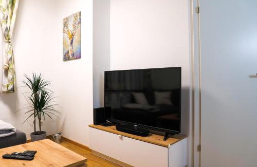 Wels Apartment | Wunderschönes Apartment im Zentrum von Wels