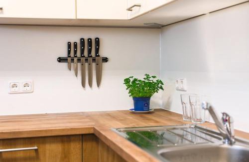 Wels Apartment | Wunderschönes Apartment im Zentrum von Wels