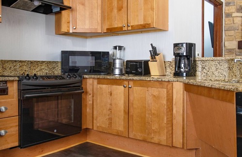 Lake Delton Condo | Wyndham Glacier Canyon Resort and Waterpark