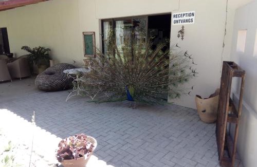 Gobabis Other | Xain Quaz Camp
