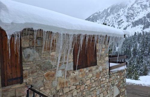 Setcases Ski Chalet | Xalet de muntanya en Parc Natural a 2000 metres