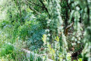 Arashiyama Hotel | Yado Arashiyama -13 years old or older only-