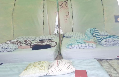 Khao Kho Other | Yafin khaokho Camping