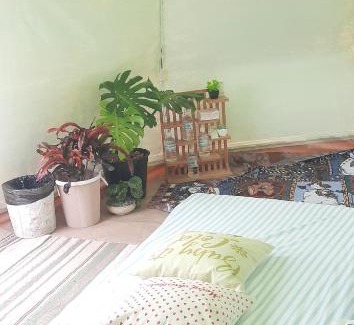 Khao Kho Other | Yafin khaokho Camping
