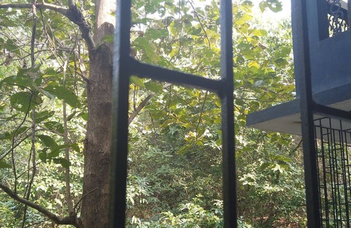 Bogmolo Apartment | Yago's Hideout - Tranquil Apartment near Bogmalo, Goa